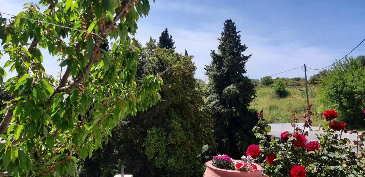 Green View Apartment Ágios Pétros エクステリア 写真